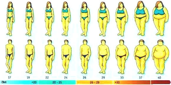What is bmi